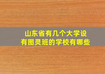 山东省有几个大学设有图灵班的学校有哪些