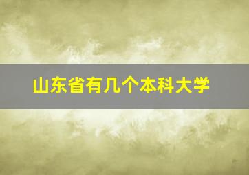 山东省有几个本科大学