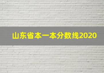 山东省本一本分数线2020