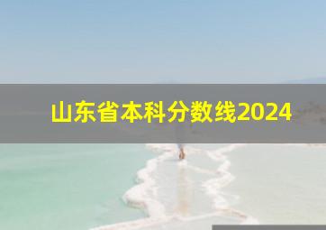 山东省本科分数线2024