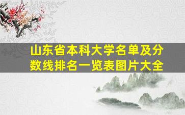 山东省本科大学名单及分数线排名一览表图片大全