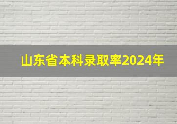 山东省本科录取率2024年