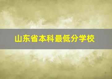 山东省本科最低分学校