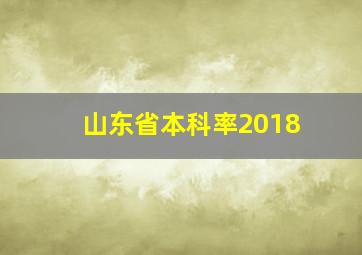 山东省本科率2018