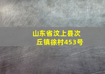 山东省汶上县次丘镇徐村453号