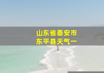 山东省泰安市东平县天气一