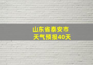 山东省泰安市天气预报40天