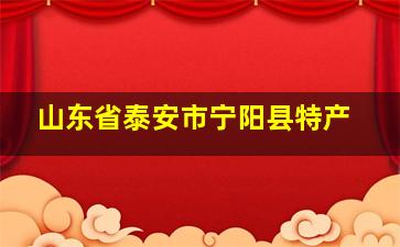 山东省泰安市宁阳县特产