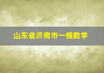 山东省济南市一模数学