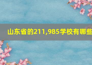 山东省的211,985学校有哪些