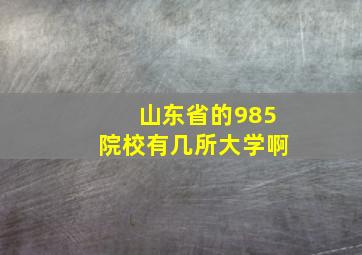 山东省的985院校有几所大学啊