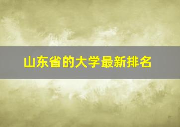 山东省的大学最新排名