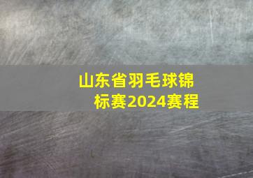 山东省羽毛球锦标赛2024赛程