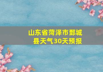 山东省菏泽市鄄城县天气30天预报