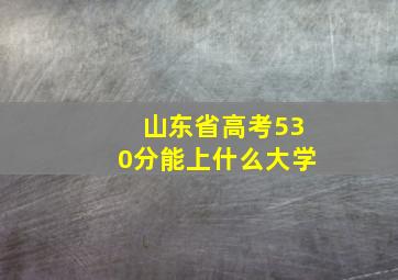 山东省高考530分能上什么大学