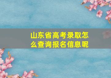 山东省高考录取怎么查询报名信息呢