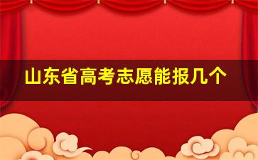 山东省高考志愿能报几个