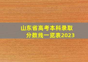 山东省高考本科录取分数线一览表2023