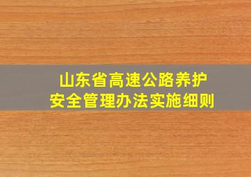 山东省高速公路养护安全管理办法实施细则