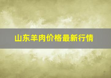 山东羊肉价格最新行情