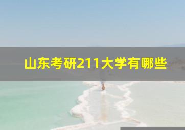 山东考研211大学有哪些