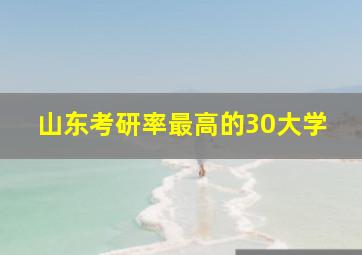 山东考研率最高的30大学