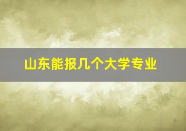 山东能报几个大学专业