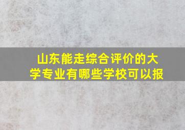 山东能走综合评价的大学专业有哪些学校可以报