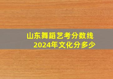 山东舞蹈艺考分数线2024年文化分多少