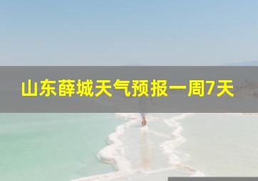 山东薛城天气预报一周7天