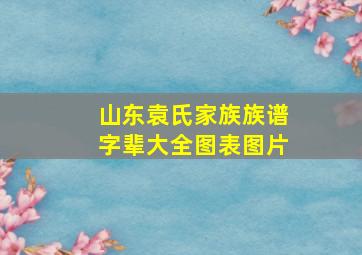 山东袁氏家族族谱字辈大全图表图片