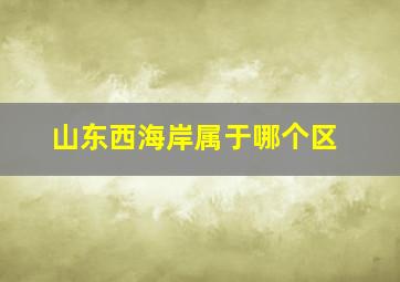 山东西海岸属于哪个区