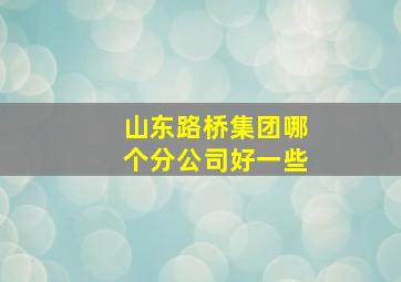 山东路桥集团哪个分公司好一些