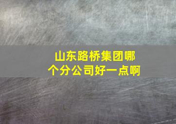 山东路桥集团哪个分公司好一点啊