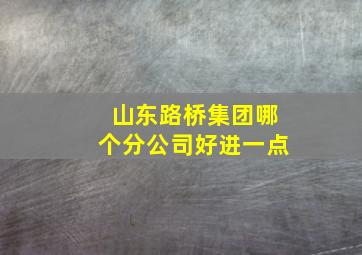 山东路桥集团哪个分公司好进一点