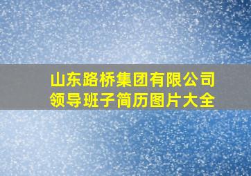 山东路桥集团有限公司领导班子简历图片大全