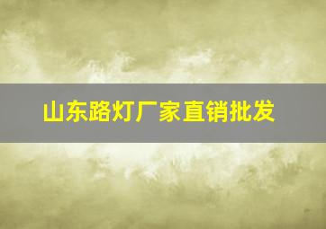 山东路灯厂家直销批发