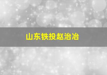 山东铁投赵治冶