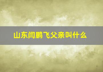 山东闫鹏飞父亲叫什么