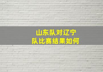 山东队对辽宁队比赛结果如何