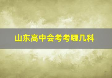 山东高中会考考哪几科