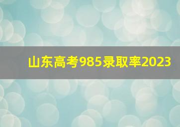 山东高考985录取率2023