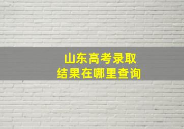 山东高考录取结果在哪里查询