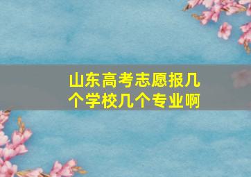 山东高考志愿报几个学校几个专业啊