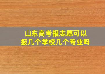 山东高考报志愿可以报几个学校几个专业吗