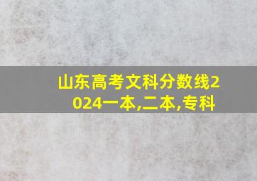 山东高考文科分数线2024一本,二本,专科