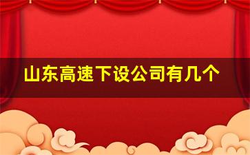 山东高速下设公司有几个