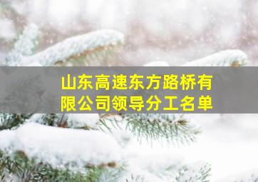 山东高速东方路桥有限公司领导分工名单