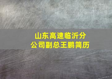 山东高速临沂分公司副总王鹏简历