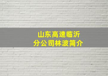 山东高速临沂分公司林波简介